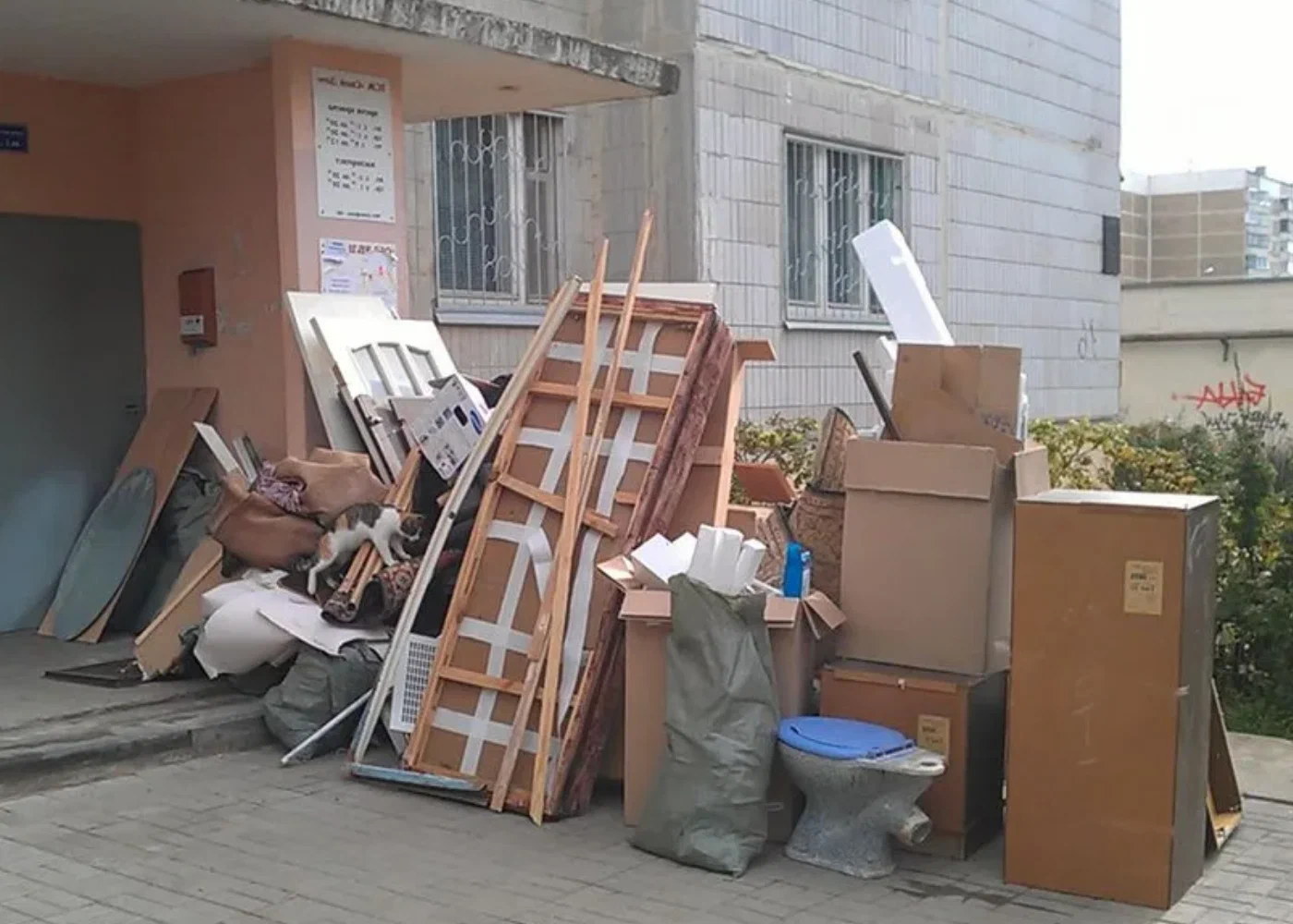 Профессиональный вывоз мусора из квартиры в Новороссийске в октябре
