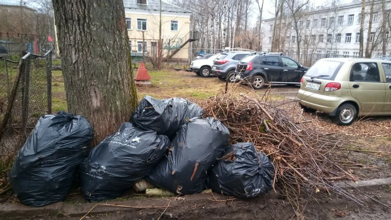 Вывоз мусора после субботника в Новороссийске от ПроМусор – уборка и утилизация отходов от 2399 руб