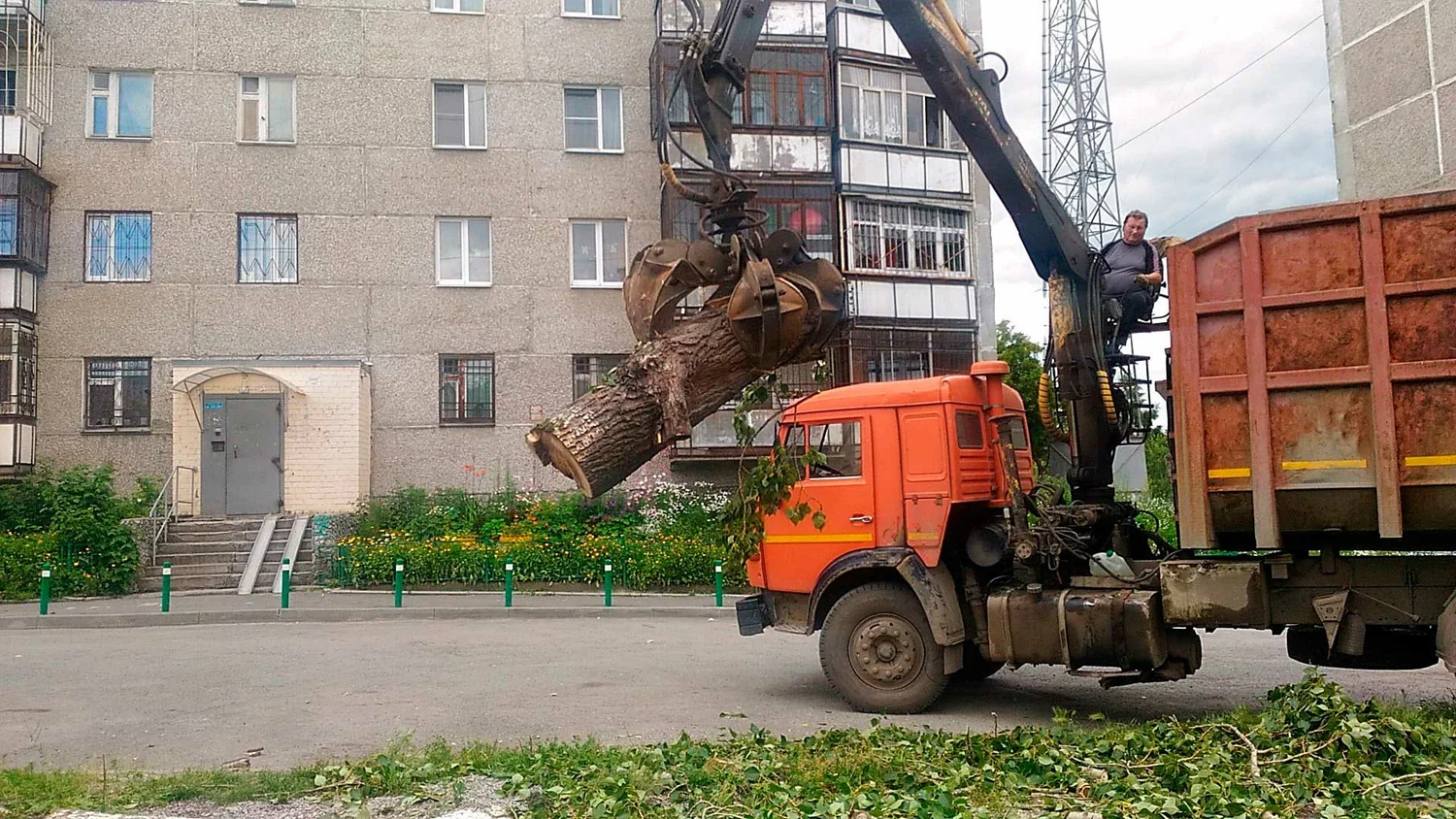 Вывоз спиленных веток и деревьев в Новороссийске от ПроМусор: порубочные остатки, утилизация, цена от 2960 руб