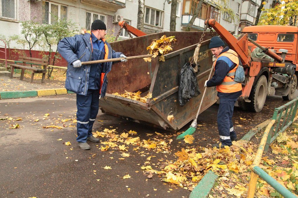 Вывоз опавшей листвы и растительного мусора в Новороссийске от ПроМусор – цена от 4594 руб., быстрая уборка и утилизация